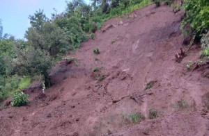 जाजरकोटमा वडा सदस्यसहित २ जना पहिरोमा पुरिए