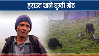 हिमाली खर्कका किसानको पीडा कसले बुझिदिने ? 