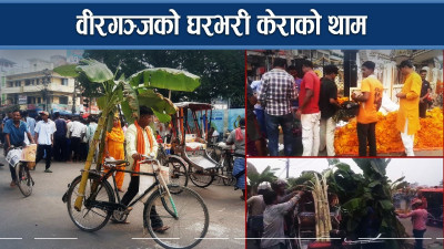 लक्ष्मी पूजामा वीरगञ्ज धपक्कै, फूल र केराको व्यापार उच्च 