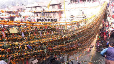 आज हरिबोधनी एकादशी, तुलसी दामोदरको विवाह गरी मनाइँदै